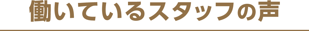 働いているスタッフの声